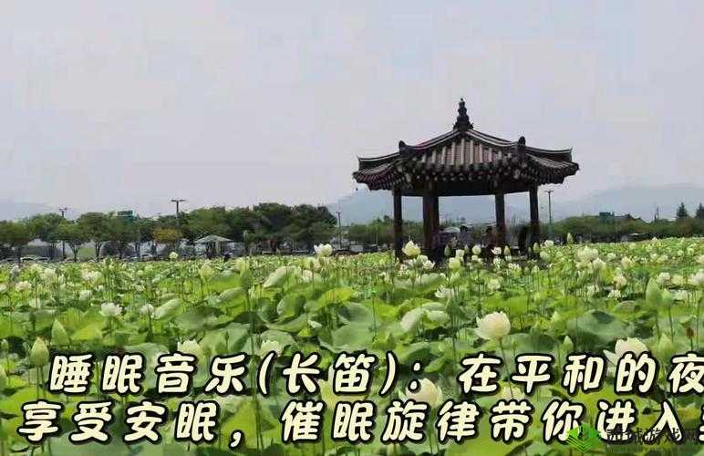 摇床和喘气声音助眠：带你进入宁静梦乡