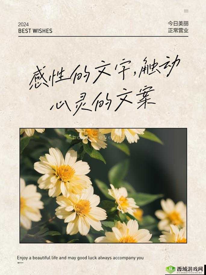 zw 时看的文案：那些触动心灵的瞬间