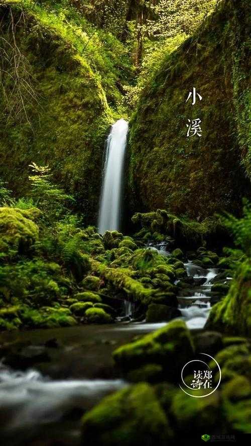 两峰夹小溪地湿又无泥诗受网民喜爱甚广