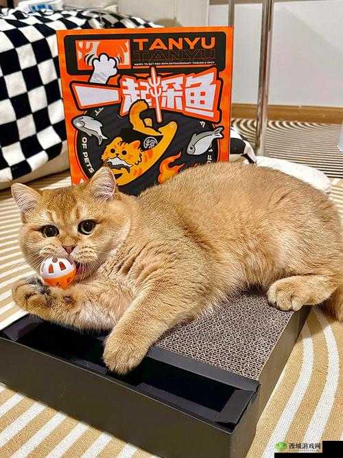 就喜欢你叫 1V1 烤鱼猫：一场独特的声音之旅