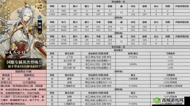 血万杰百地丹波全面解析：属性技能详解与实战使用心得分享