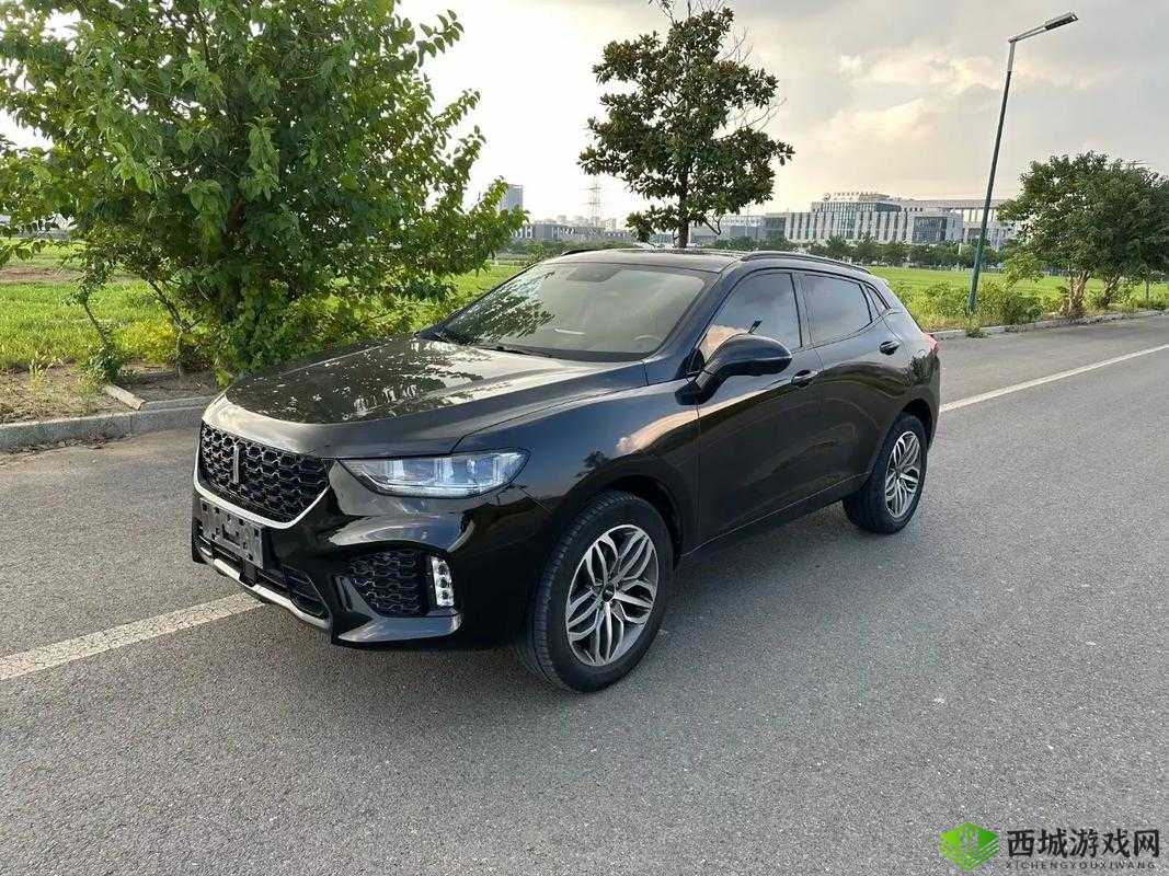 豪华智能超豪跑 SUV-WEY VV5