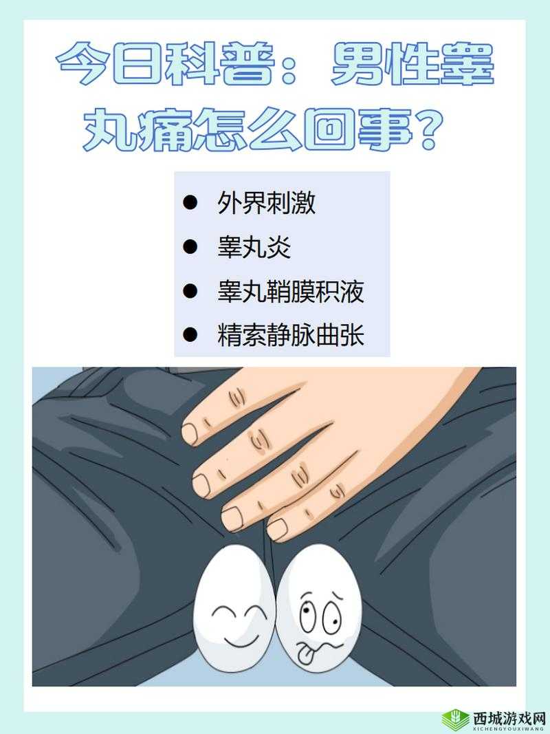 男生的小蛋蛋疼长什么样：这是一个值得深入探讨的问题