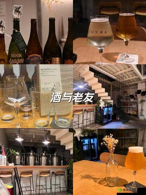 招惹1v1po伴酒：深夜微醺时刻，如何巧妙应对一对一的情感挑战？