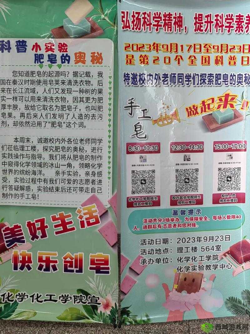 肥皂大作战新手必备，全面掌握快速升级技巧与高效资源管理艺术