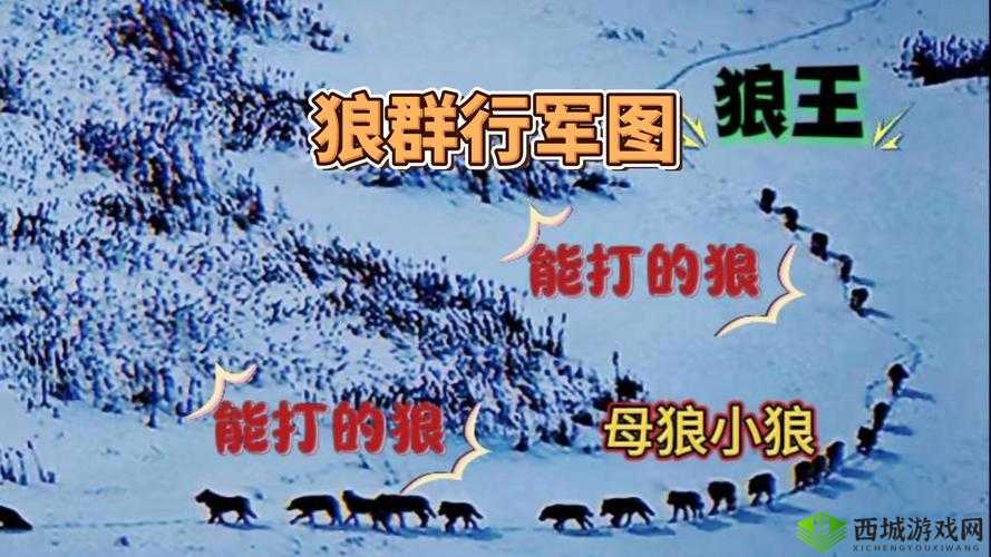 全球行动中的反抗军草原狼究竟如何？全面解析属性图鉴及演变历程揭秘