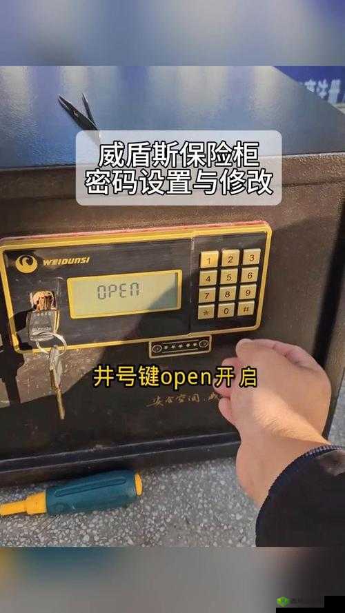 秘馆疑踪保险箱密码成谜，揭秘资源管理中密码重要性及高效管理秘诀？