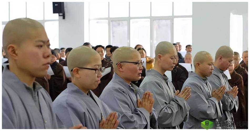 尼姑也快乐：探寻佛教修行与现代生活的奇妙融合